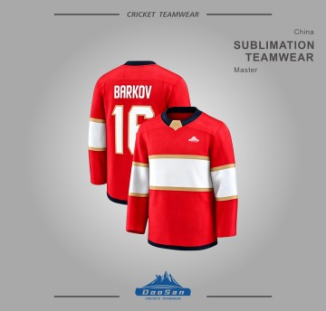 Custom Sublimated Ice Hockey Jersey, Breathable Team Ice Hockey Uniform Manufacturer