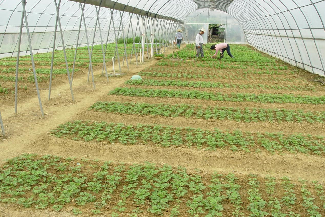 Controllable raw materials planting base