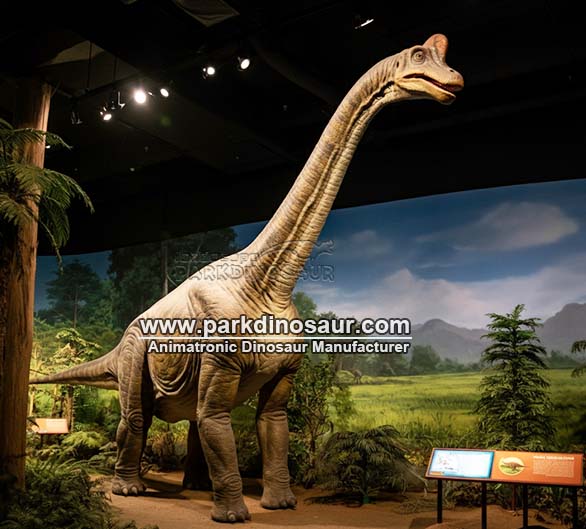 DinosaurMuseum Exhibitions
