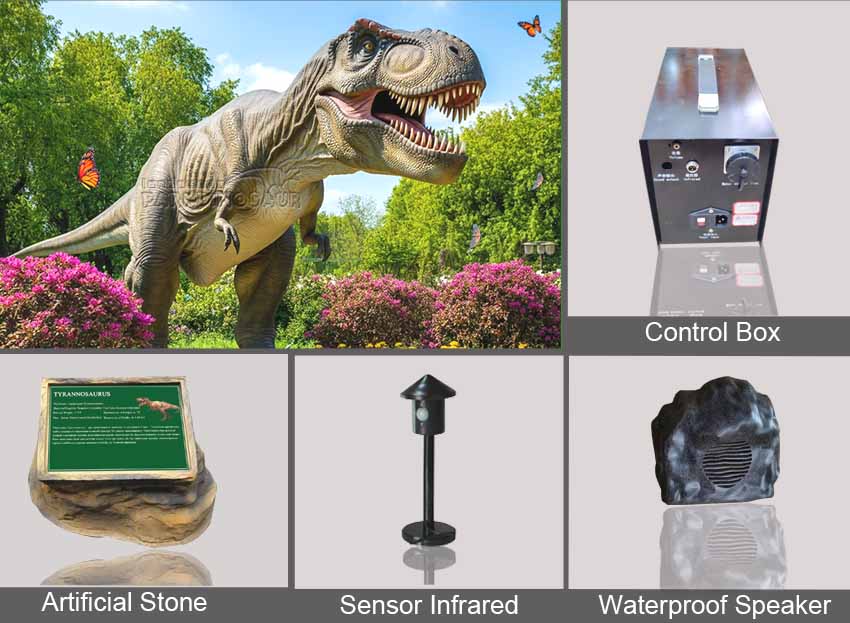 Real Life Dinosaur T-rex-Accessories