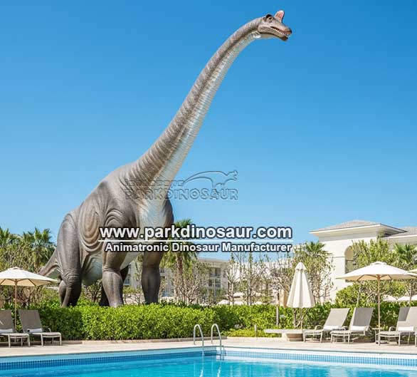 Resort and hotel decorations