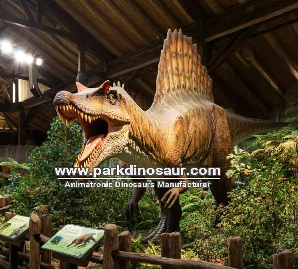 Réplica realista e animatrônica de um dinossauro Espinossauro para exposição.
