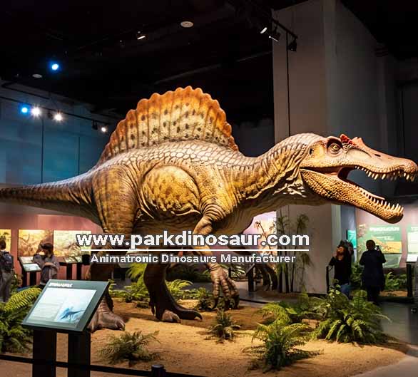 Réplica realista e animatrônica de um dinossauro Espinossauro para parques ao ar livre - 003