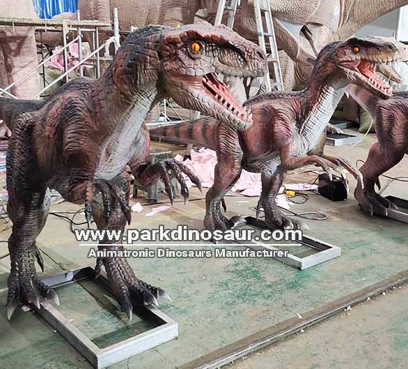 Πλήρως Animatronic εκθέματα δεινοσαύρων Velociraptor Production-03