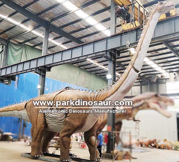Dinossauros realistas para uso externo com pescoço comprido, da empresa de dinossauros-produção2.