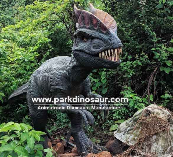 Theropods Carnivore Dilophosaurus Real Dinosaurs