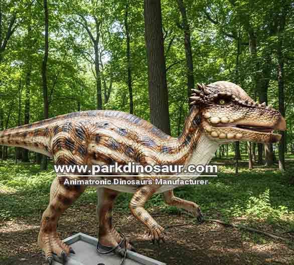 Estátua interativa de dinossauro Paquicefalossauro na cor marrom com movimentos acionados por sensor - 02