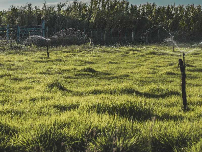 Customizable Gear Drive Sprinklers for Vineyards and Orchards