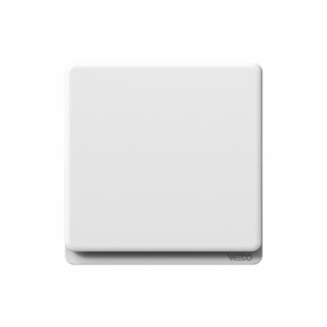 1 Gang 1 Way Switch/1 Gang 2 Way Switch/1 Gang intermediate Switch