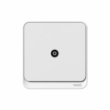 TV Socket Switch