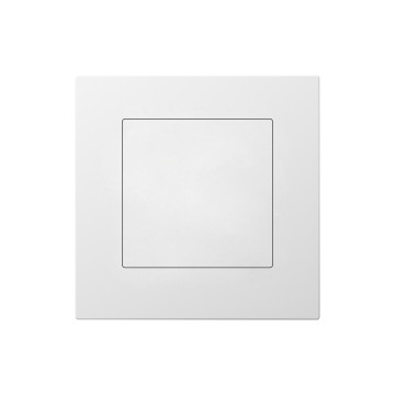 E3 Blank Plate