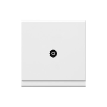A20 TV socket