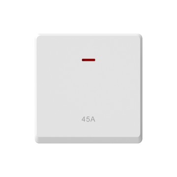 A17 45A Switch with neon