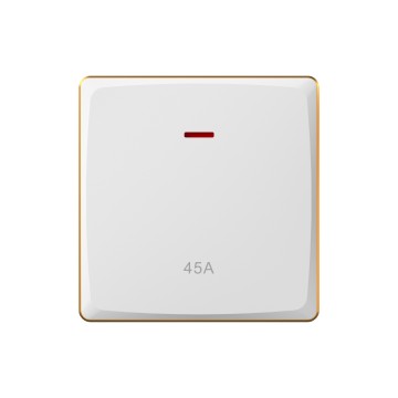 A21 45A switch with neon