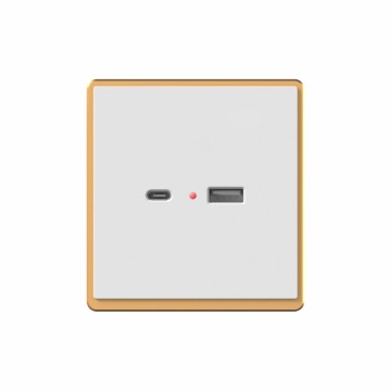 H1 TYPE A+C socket