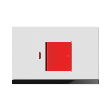 A8 45A switch with neon