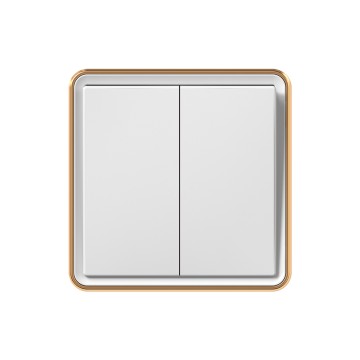X10 2 Gang 1 Way Switch/2 Gang 2 Way Switch