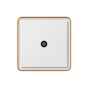 X10 TV socket
