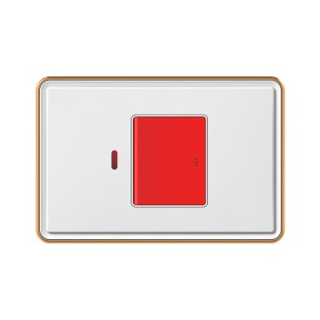 X10 45A switch with neon