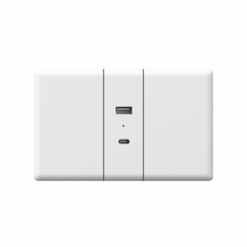 T10 USB+TYPE-C(1/3)(Ordinary charge)