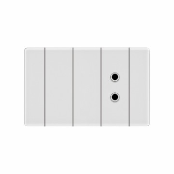 T22 2 gang Round 2 pin socket (1/3)