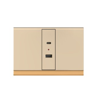 X10 USB+TYPE-C (1/3)(Ordinary charge)