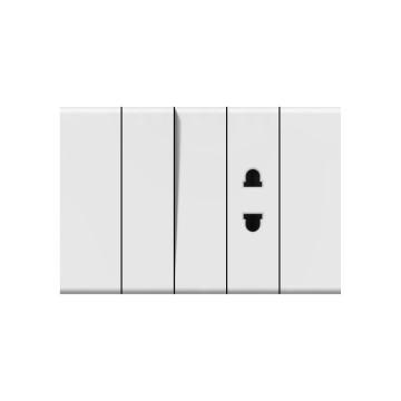 X1 1 gang  2P socket (1/3)