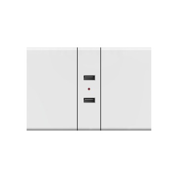 X1 Double USB (1/3)