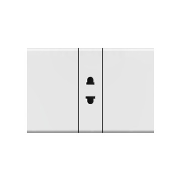 X1 2P socket (1/3)