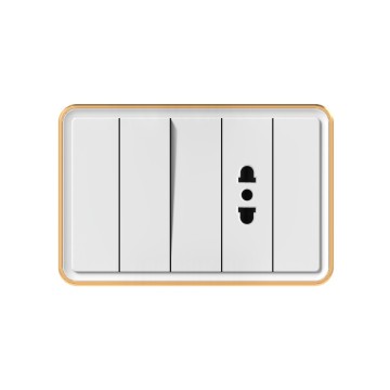 X9  1 gang 2P socket+E (1/3)