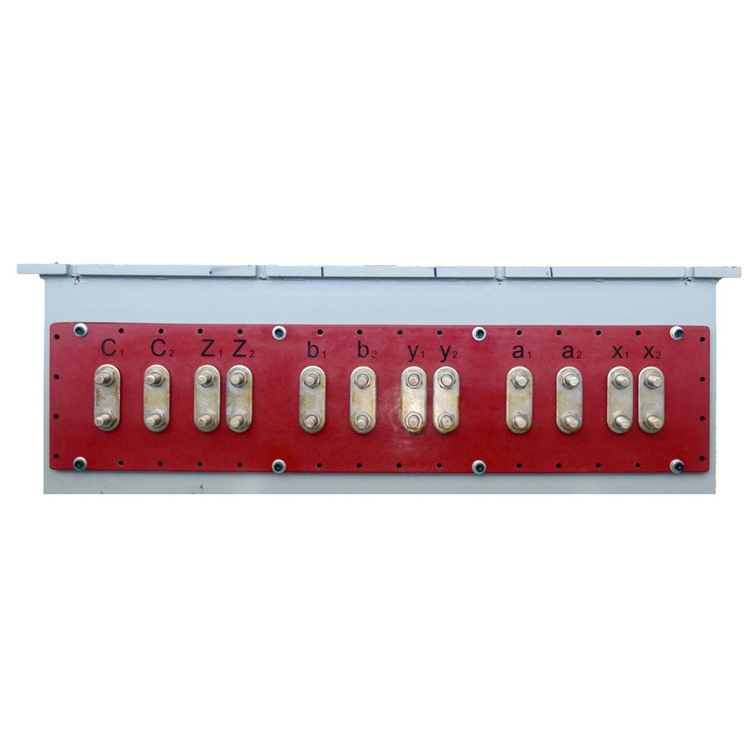 Horizontal capacity regulating and voltage regulating tap changer