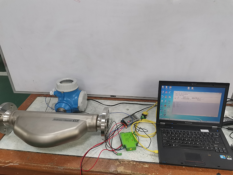 SM101-B 和 Endress+Hauser 仪器的应用示意图(1).jpg
