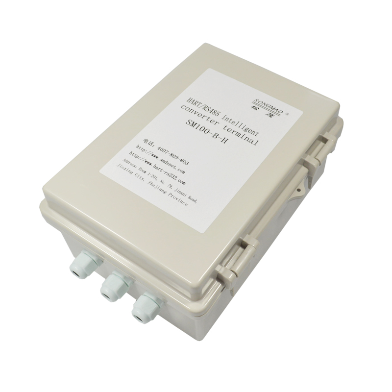 SM100 (2).jpg