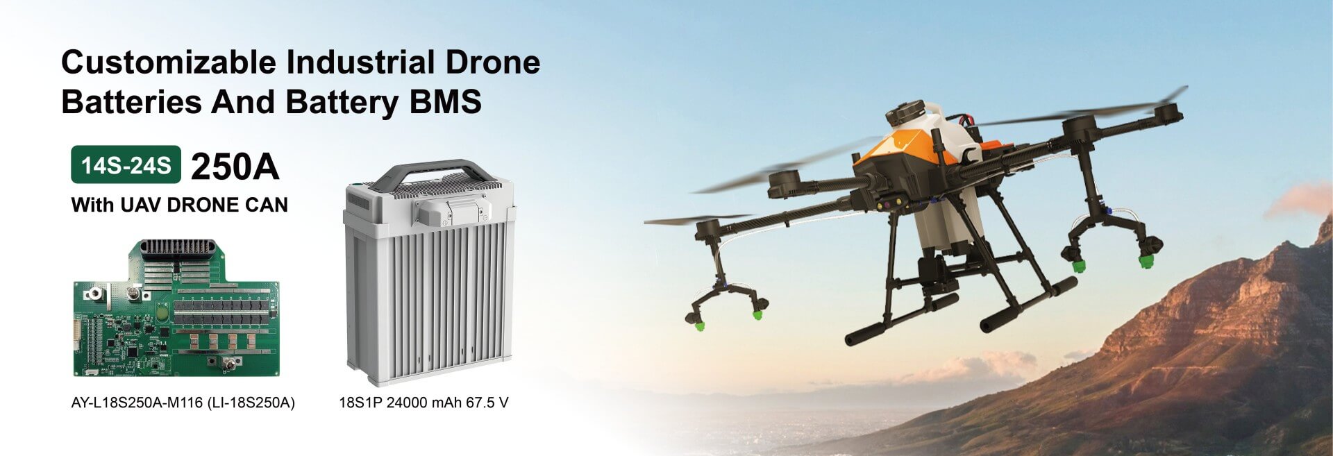 Customized BMS for drones-03