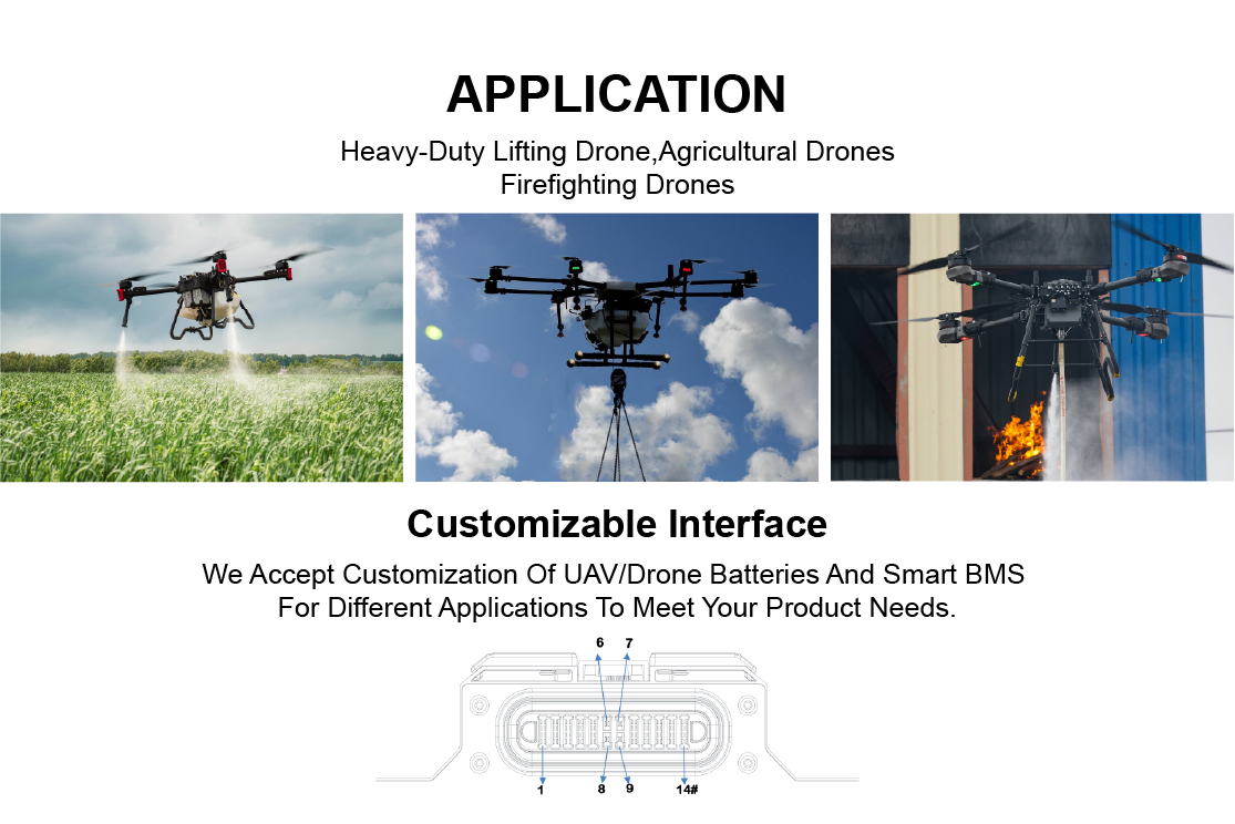 Customizable agricultural drone BMS-13