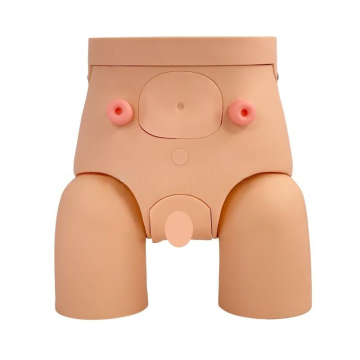 Male Female PVC Manikins for Medical Science Genital Anatomy Model for Urinary Catheterization Training Demonstration Practice