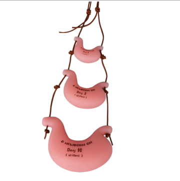 Medical science Baby Lactation Stomach Capacity Necklace nurse training models