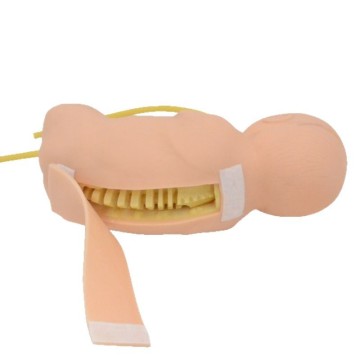 Baby Lumbar Puncture Training Simulator Teaching Resource Nursing Skill Practice Manikin Medical Training Dummy