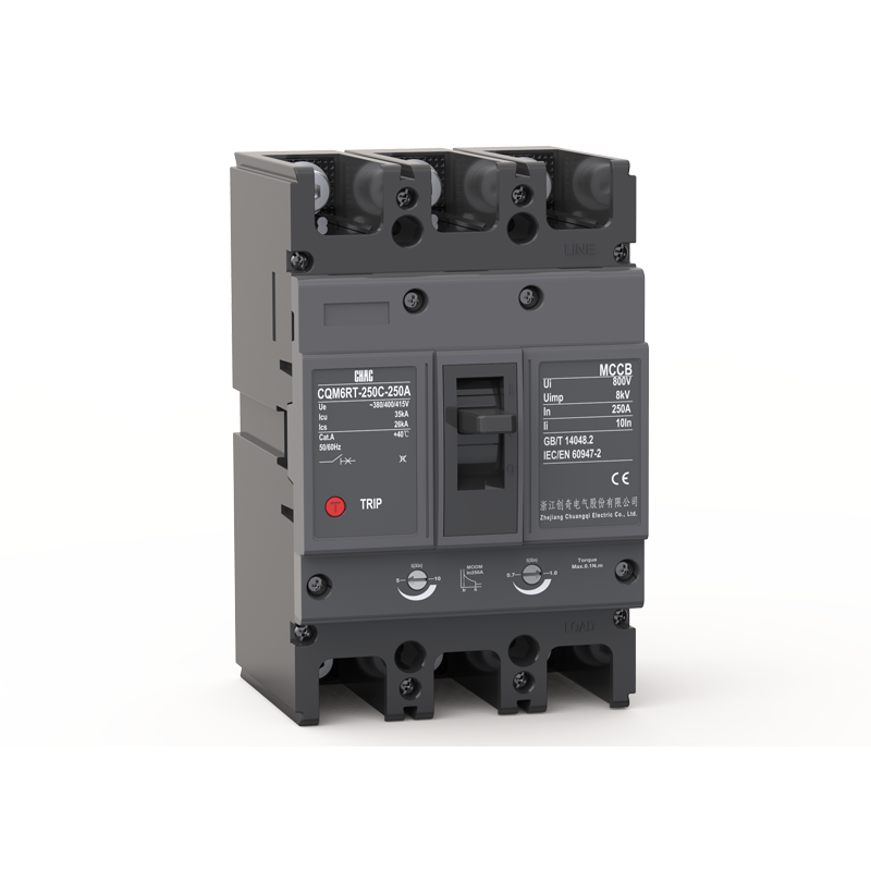 CQM6RT Thermal-Magnetic Adjustable Molded Breaker