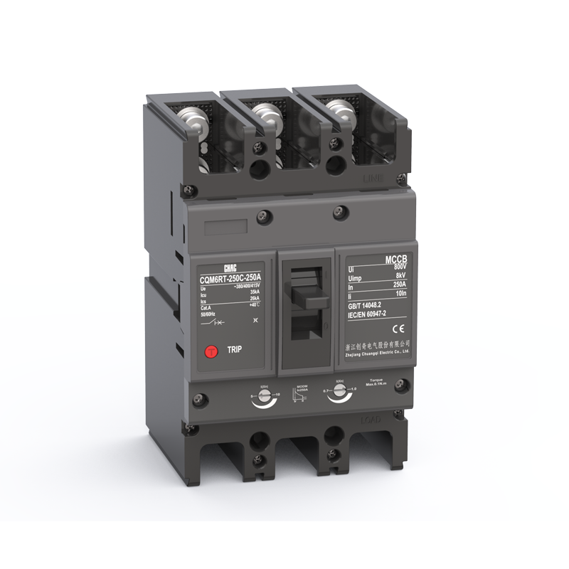 CQM6RT Thermal-Magnetic Adjustable Molded Breaker