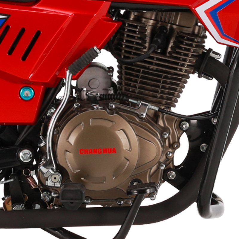 150CC внедорожные мотоциклы уличный законный мотоцикл (7)ir1