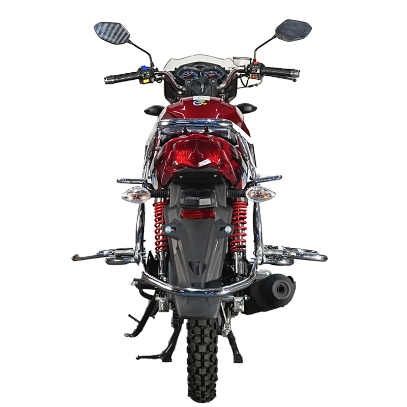 Motorbike 150CC Two Wheeled Fuel Motorcycle Factory Direct Sales (8).jpg
