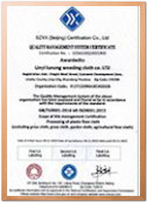 Our Certificate x