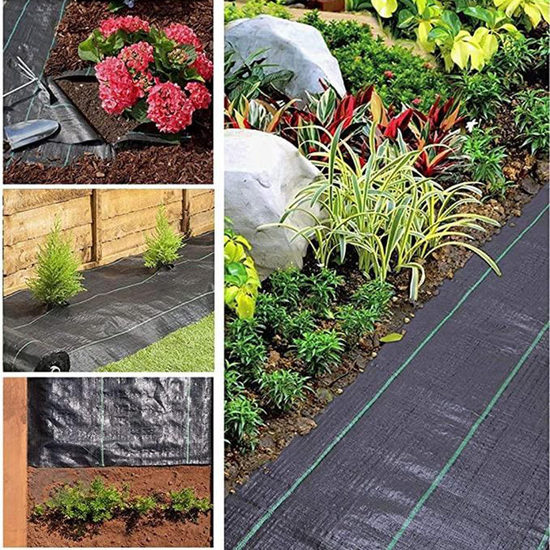 Biodegradable ecological Landscape (3)
