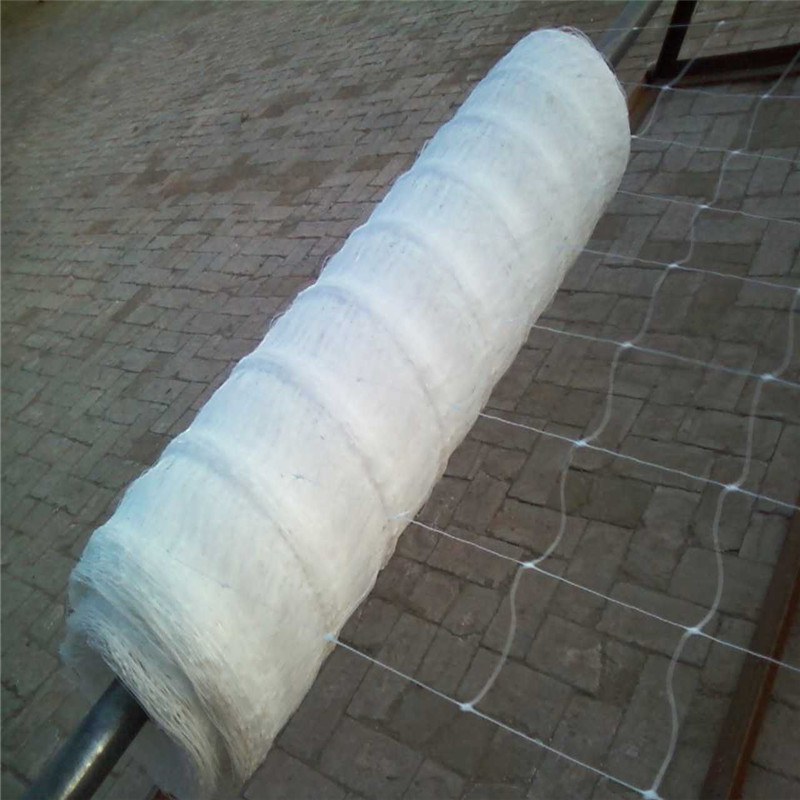 zsdasd (1)
