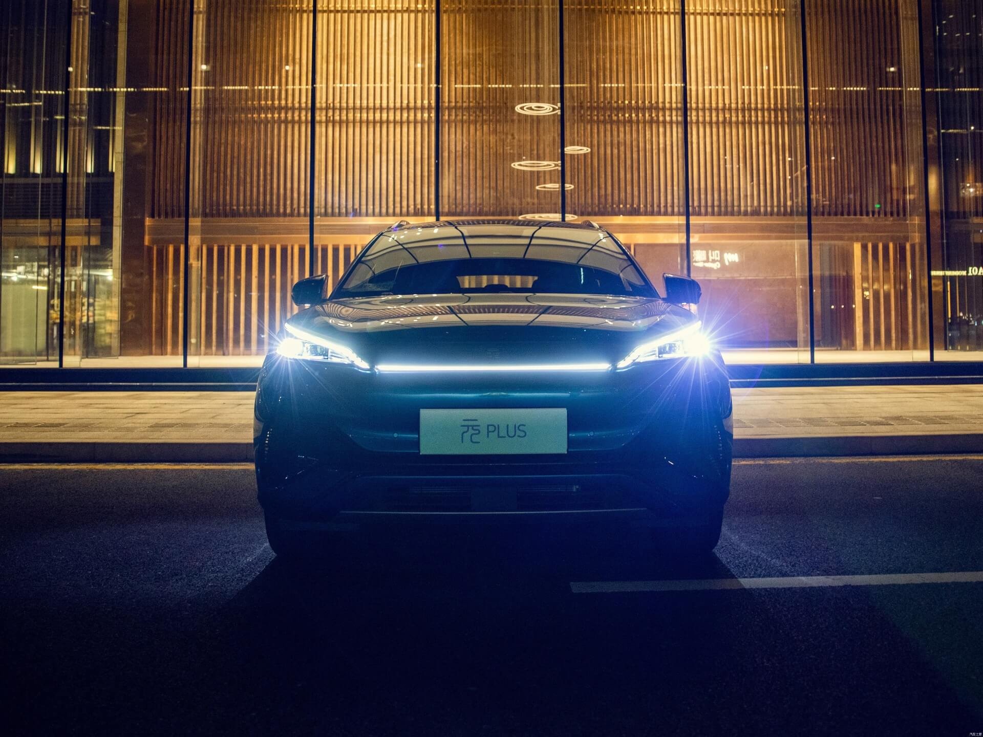 BYD (2)rlp