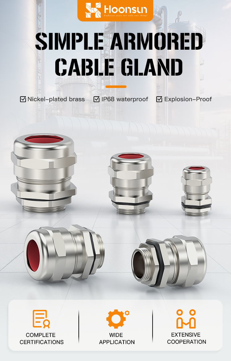 2.Simple Armored Cable Gland with Dual IP68 and UL Certification.jpg