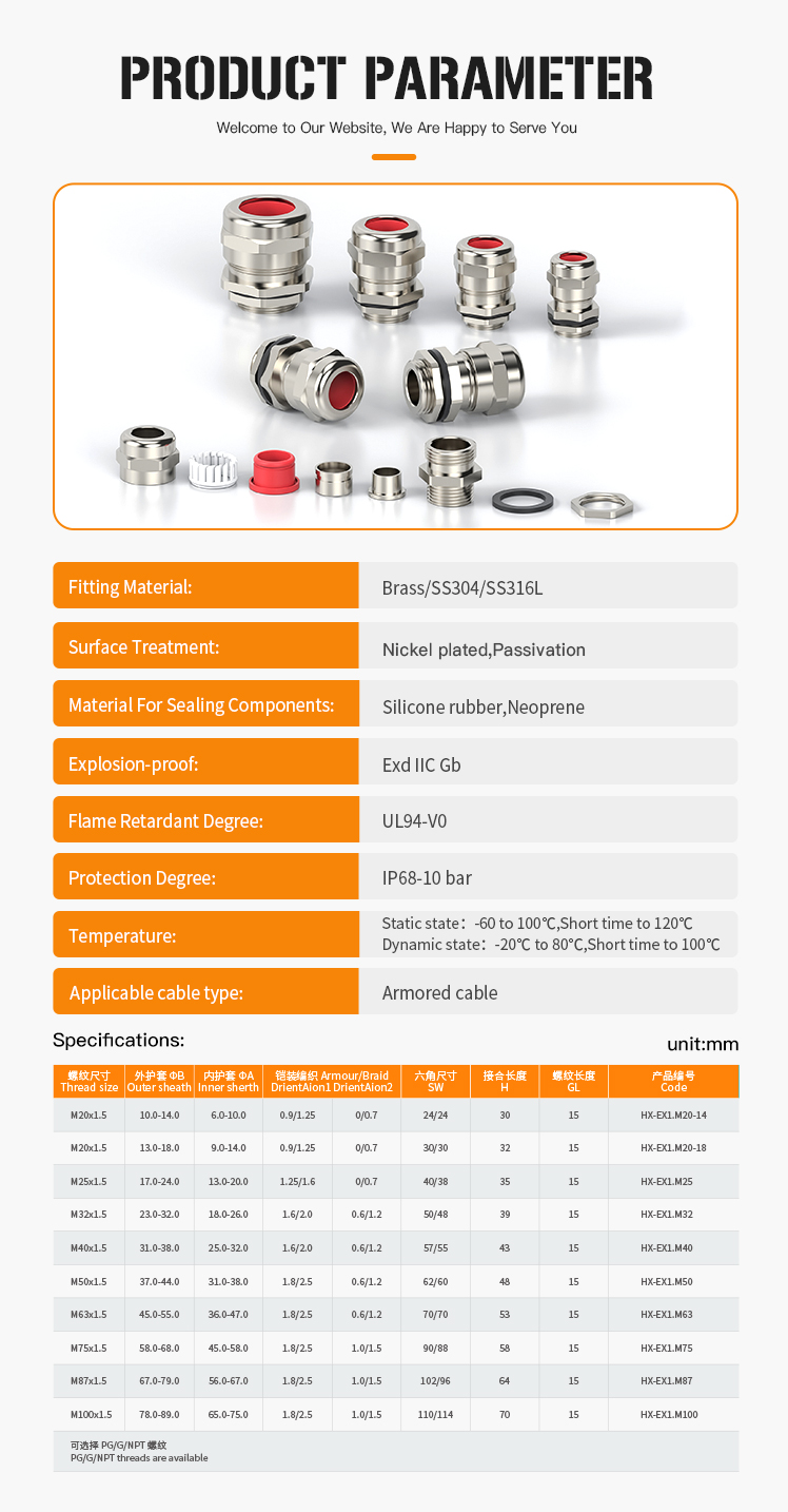 4.Simple Armored Cable Gland with Dual IP68 and UL Certification.jpg
