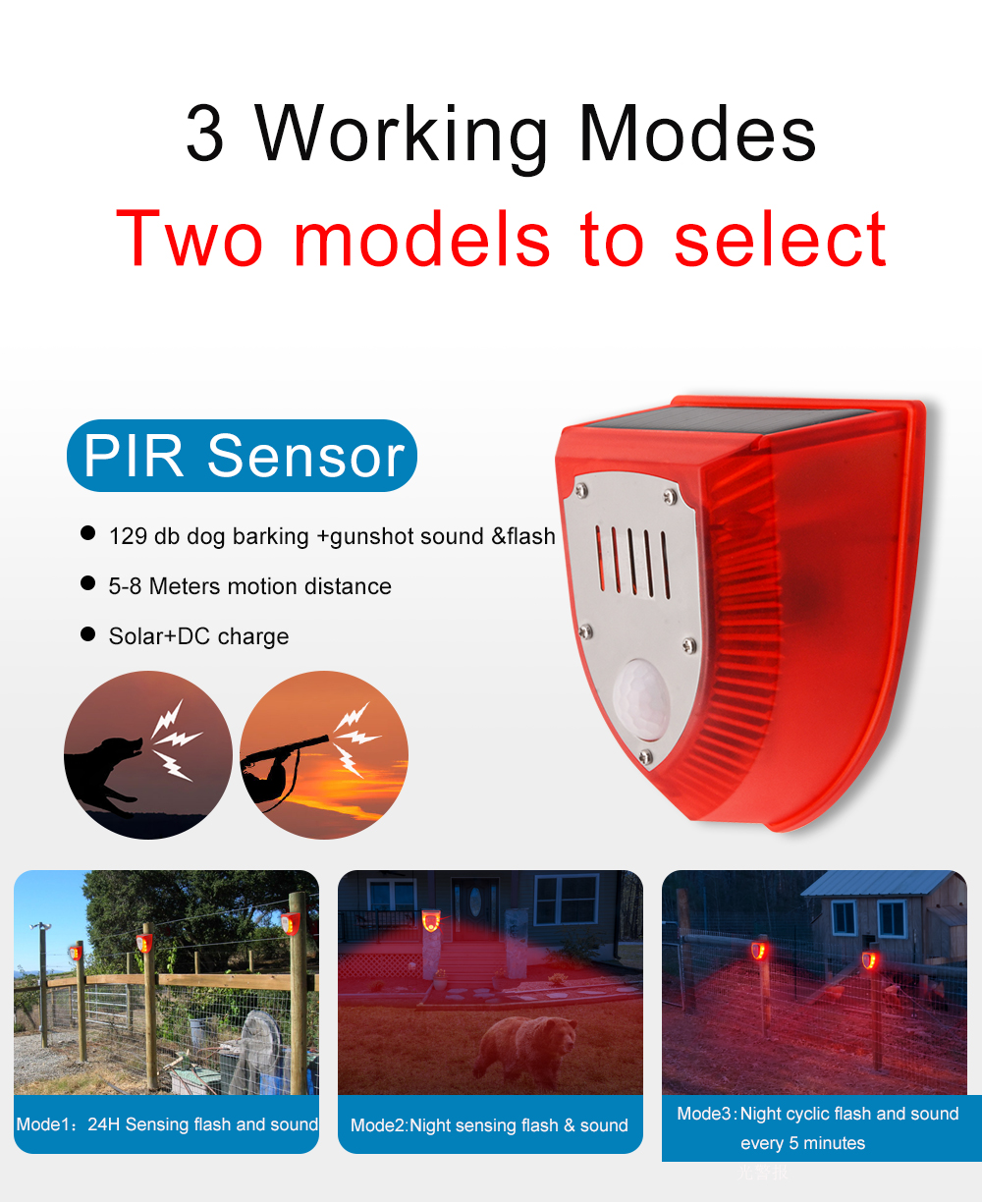 Product English Details Specifications