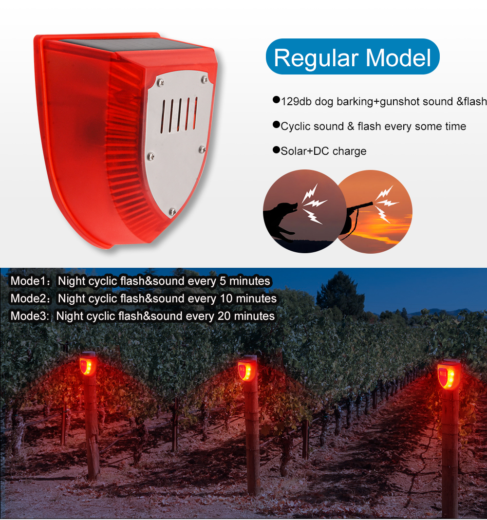 Product English Details Features
